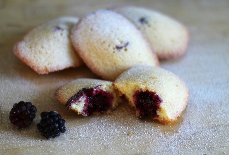 Blackberry Madeleines on wooden background © Laura Madeleine