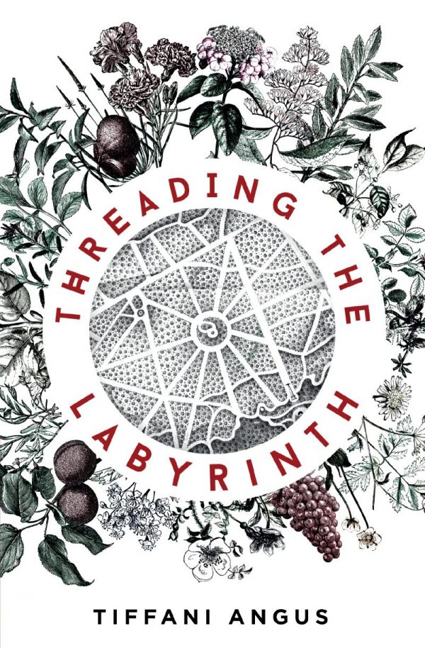 Cover image for Threading the Labyrinth by Tiffani Angus